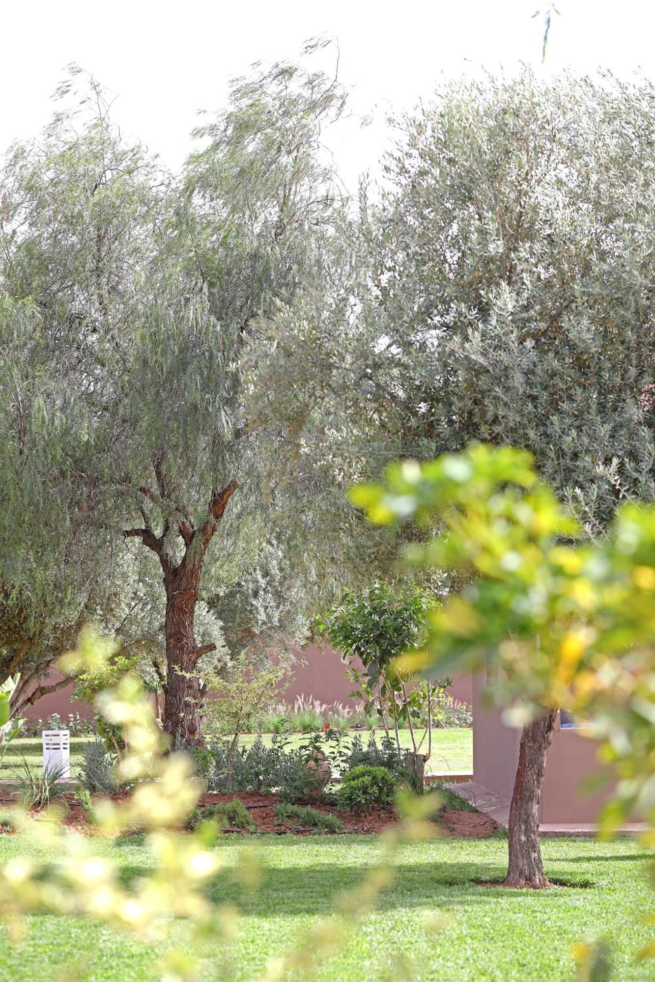 Domaine Du Douar Hotel Chwiter Kültér fotó